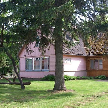 Gasthaus Lauku Viesu Maja Bajari Rucava Exterior foto